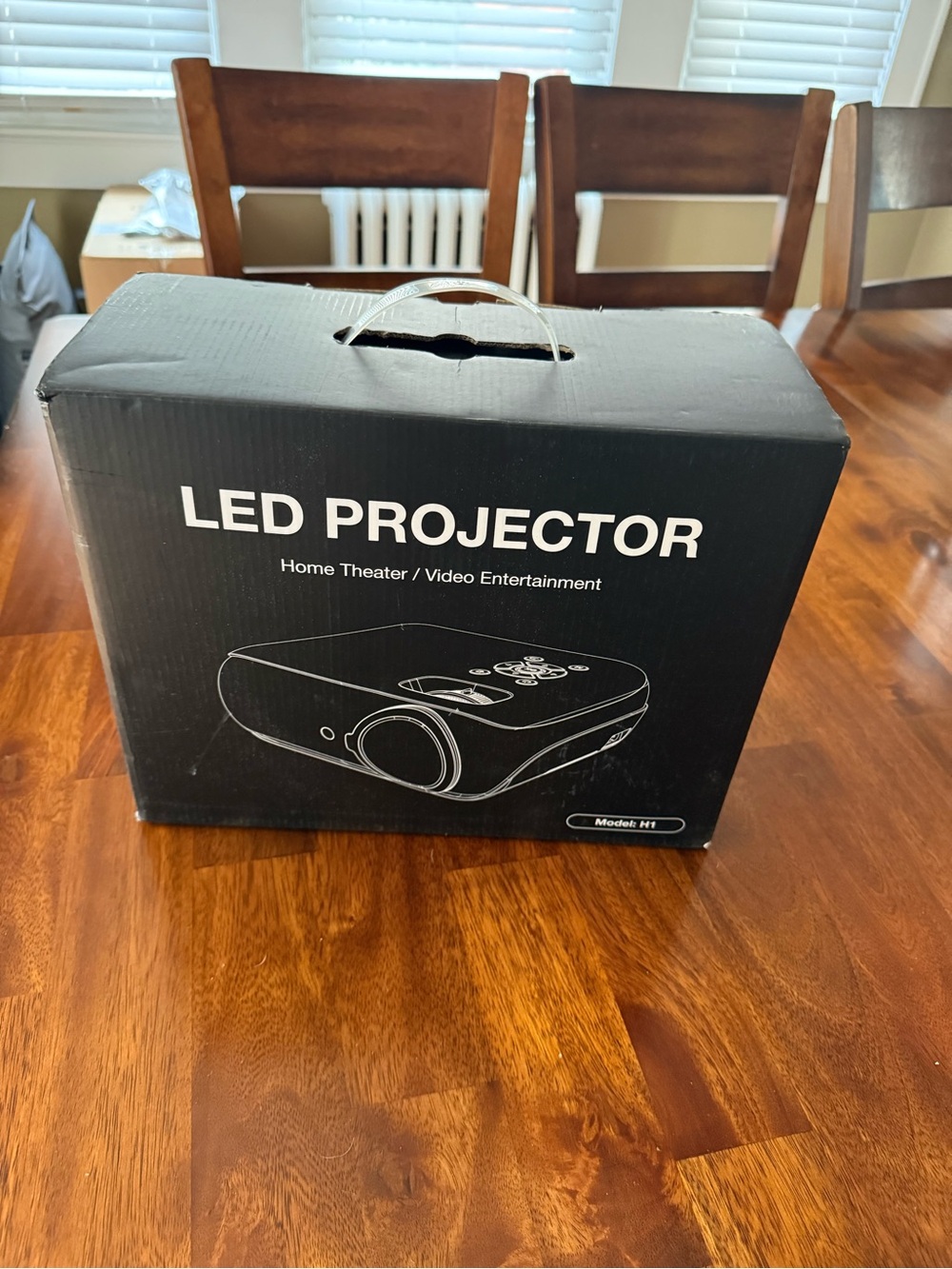 Portable LED Projector